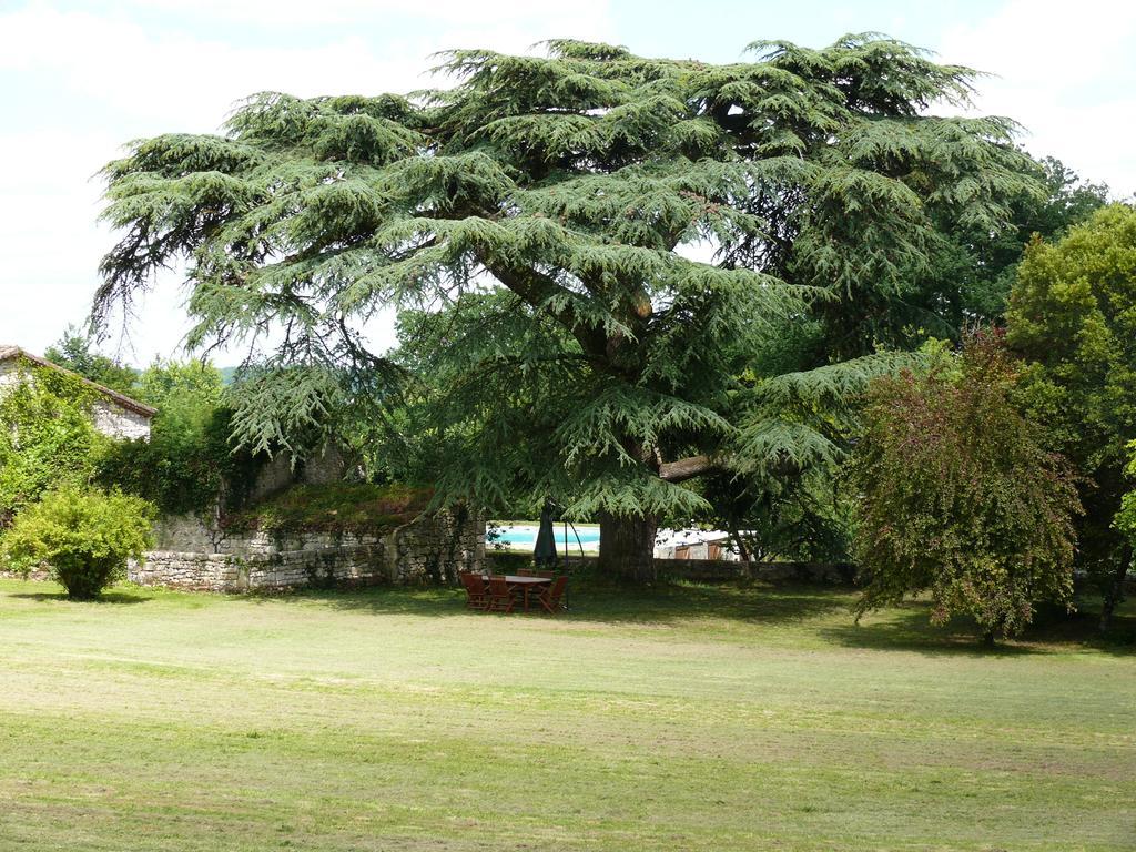 Domaine De Lamassas Bed and Breakfast Hautefage-la-Tour Exteriör bild